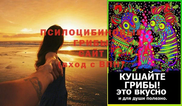 дурь Михайловск