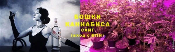 молекула духа Михайловка