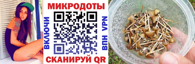 Галлюциногенные грибы Cubensis  Купить где  Арск 